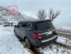 Infiniti QX80